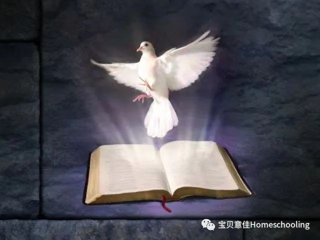 A First Bible Story Book（1-13）英文音频合辑