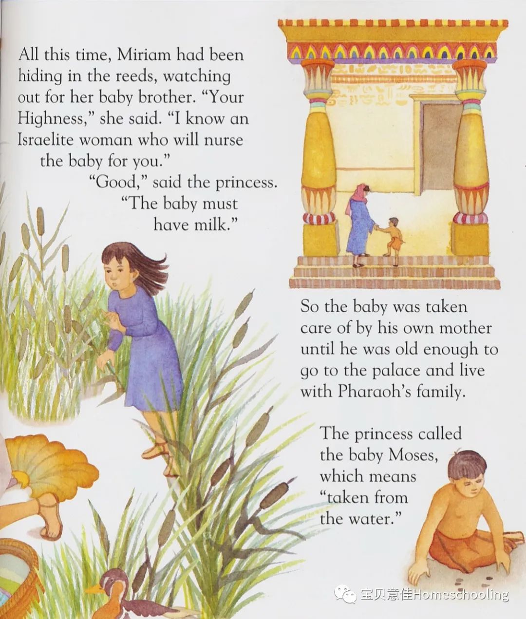 A First Bible Story Book 05第一本圣经故事书（附音频）