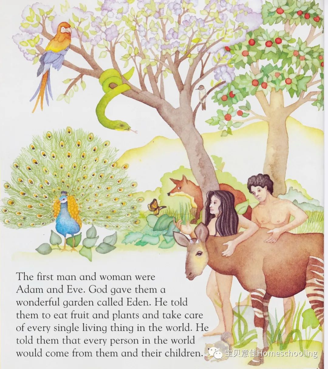 A First Bible Story Book 01 第一本圣经故事书（附音频）