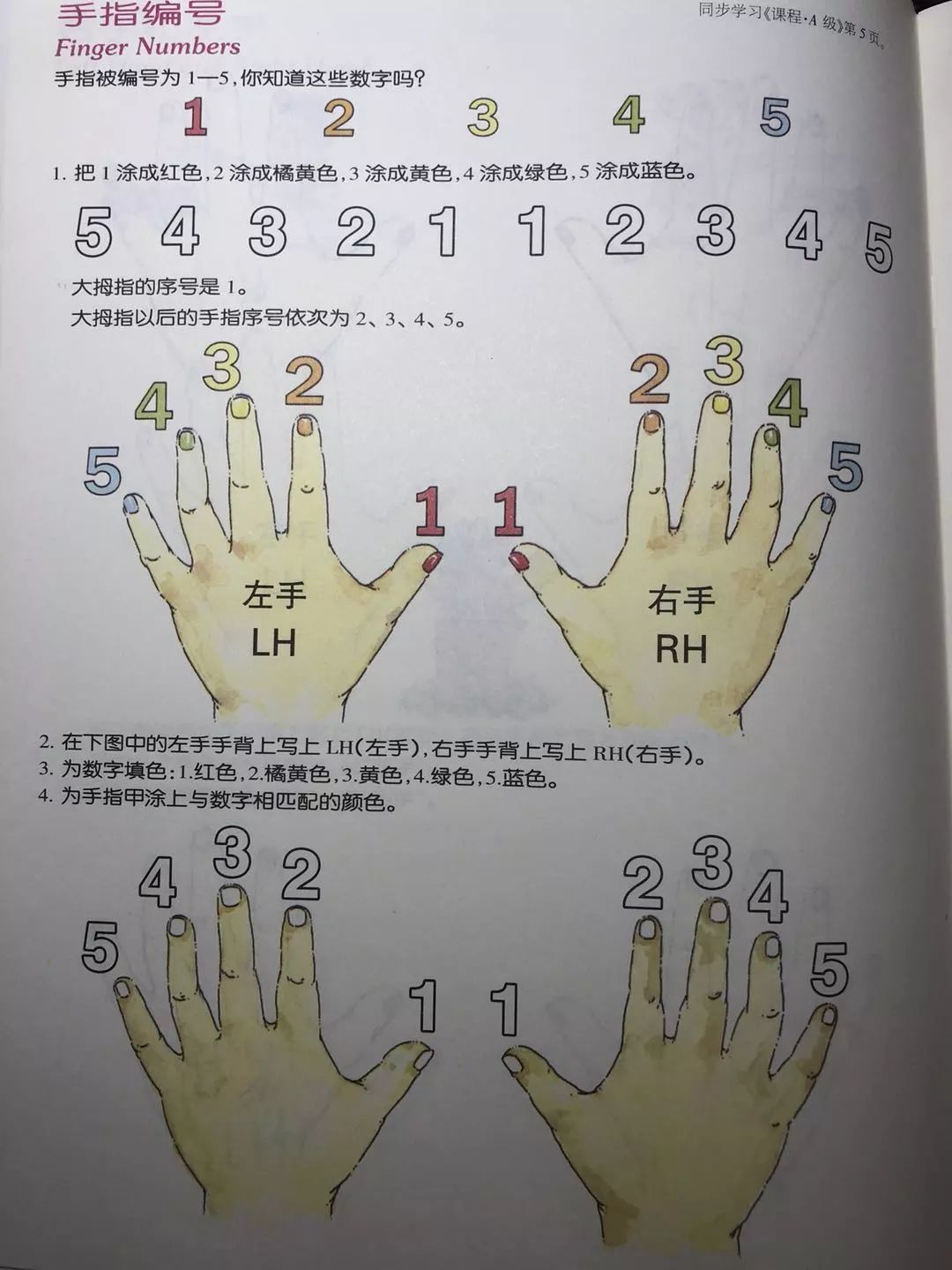 姐姐囡学琴记【一~九】