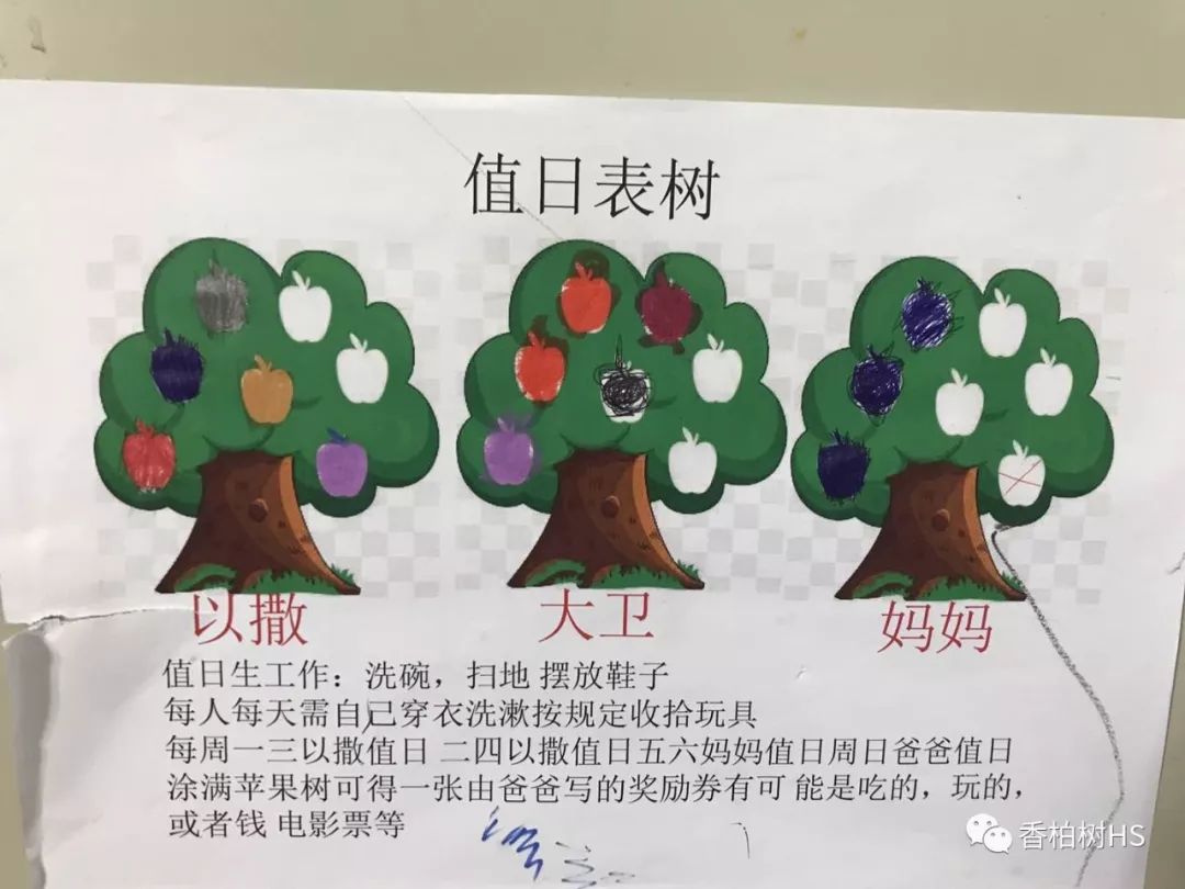 我们在家上学的日常