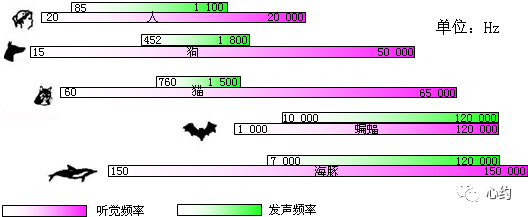 【永远的约】04 神的存在