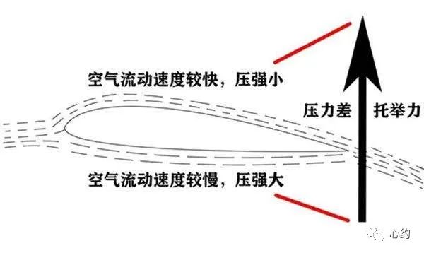 【永远的约】15 两个律