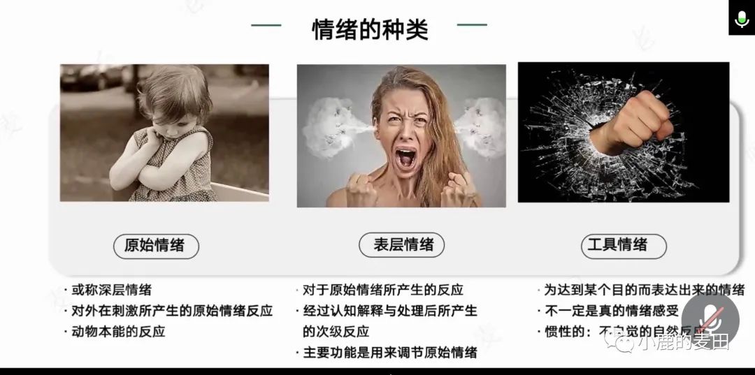 一堂情绪解码课，让我重新解读十年前我和兰先生的一次冲突