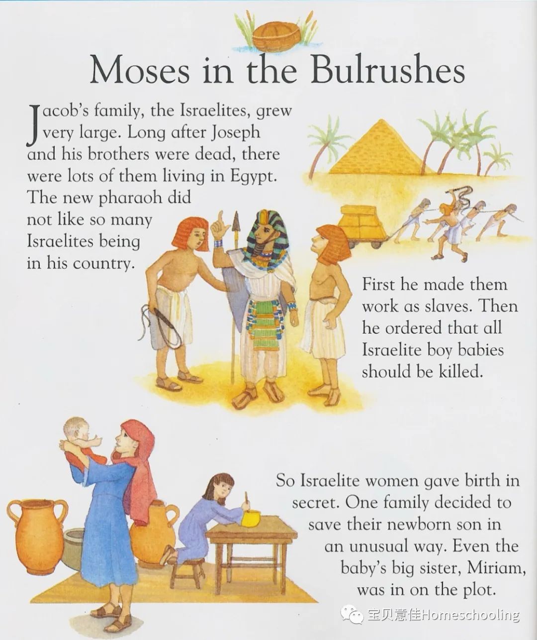 A First Bible Story Book 05第一本圣经故事书（附音频）