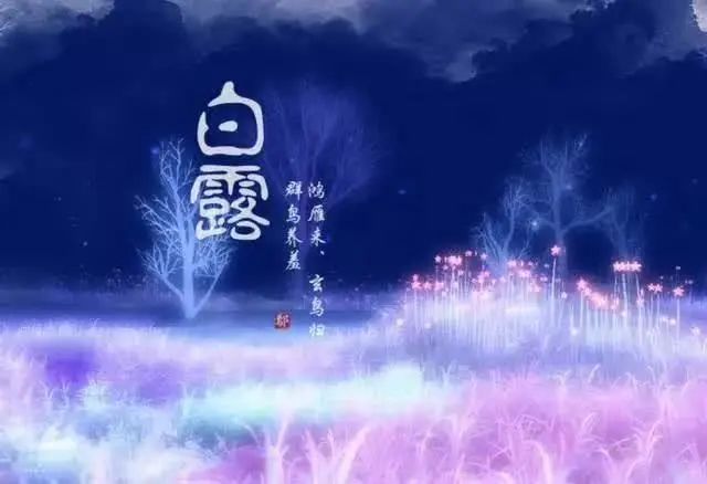 【Zi拍同吟】|| 以琳九月格律作品集