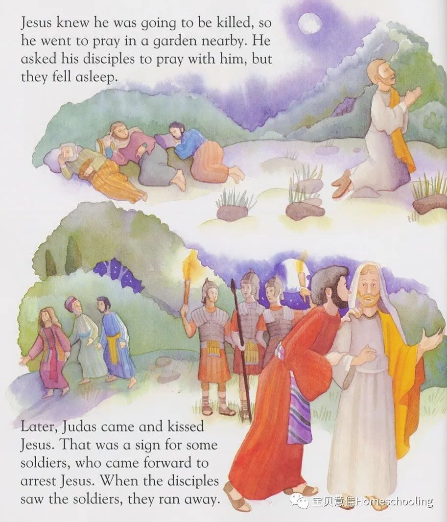 A First Bible Story Book 12第一本圣经故事书（附音频）