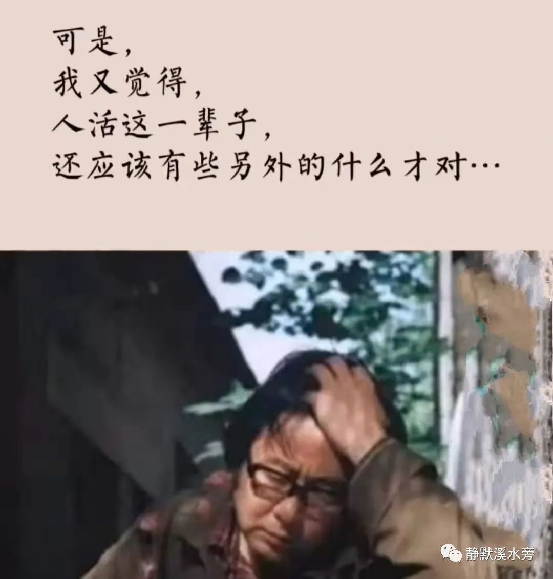 好好享受一下阳光吧