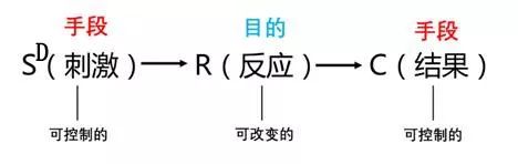 都跟风做IEP（个别化教育方案），看看学霸家长是怎样理解这罗盘的精髓