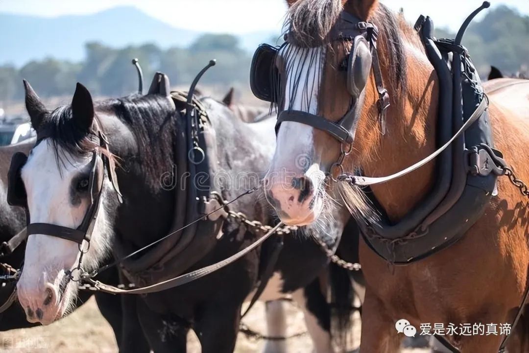 如何一步步学会忍耐