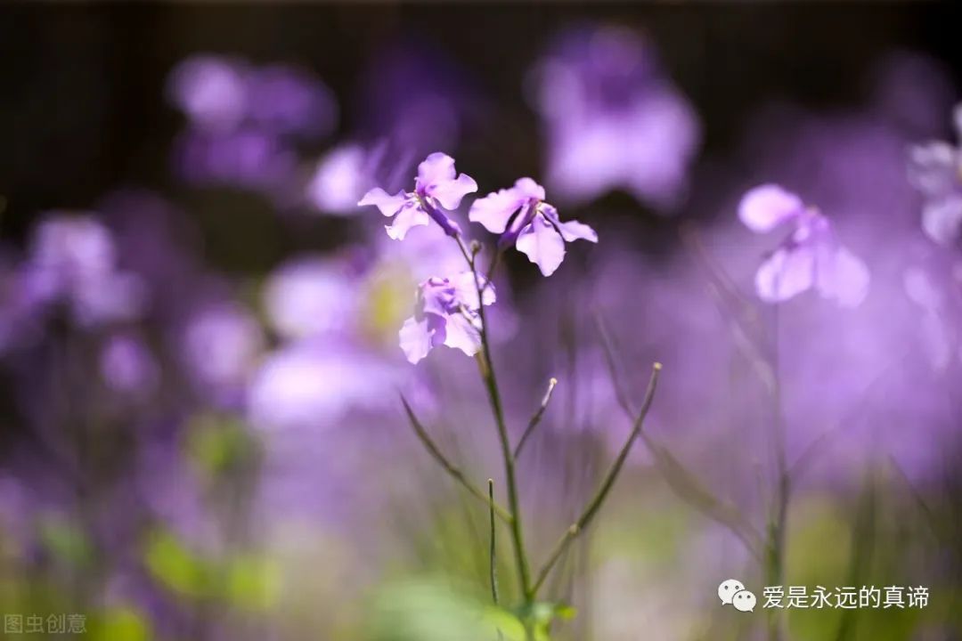 当人生经历重大挫折的时候，我们在想什么？