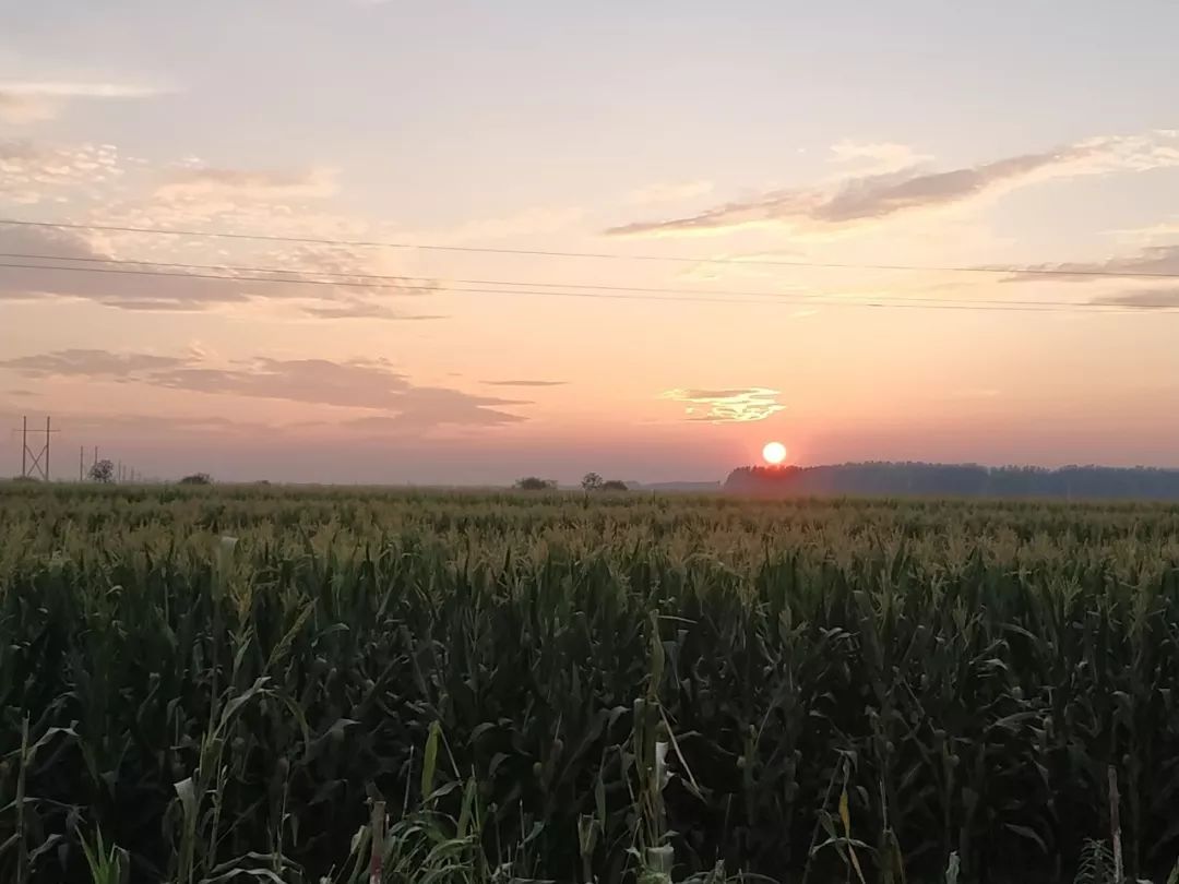 故乡的原风景