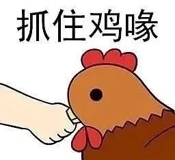 夫妻档、婆媳营...网络家培吸引全家齐上阵