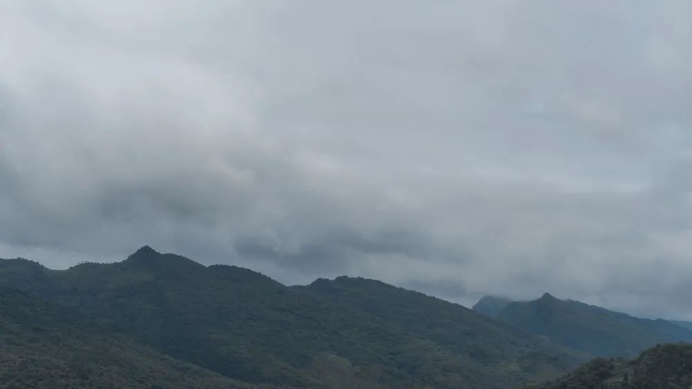 雨中所感