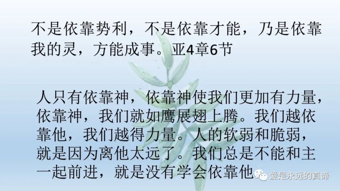 爱是永远的真谛