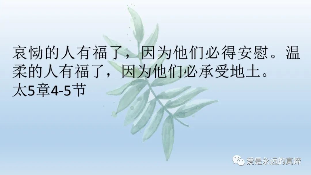 爱是永远的真谛