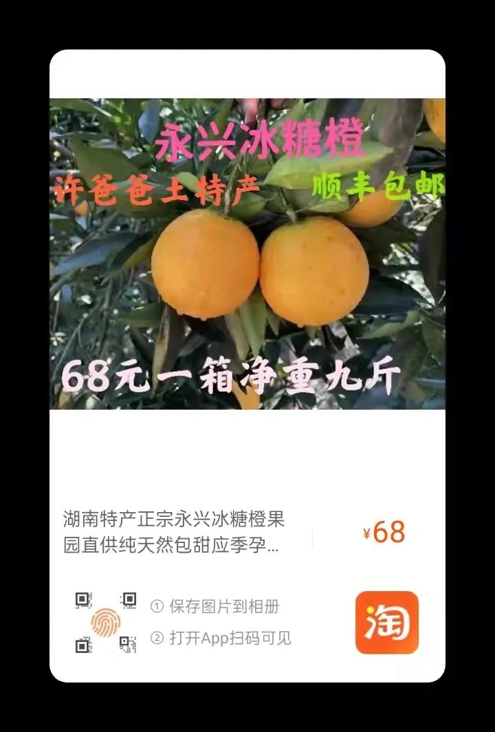 一年的等待，谁能拒绝这样的一颗冰糖橙？