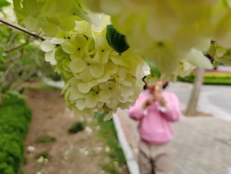 和“小臻牛”有约