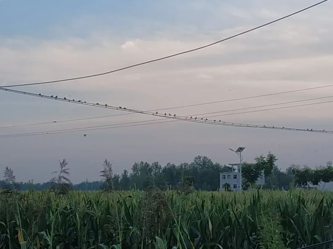 故乡的原风景