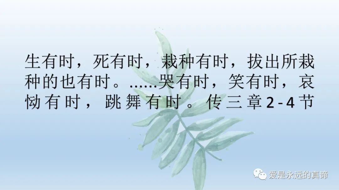 爱是永远的真谛