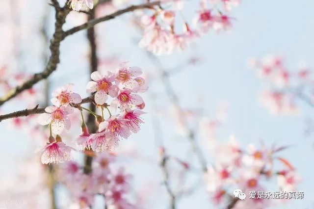 节制自己可以变得很快乐