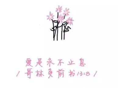 曲折变光明，儿子的全纳教育之路