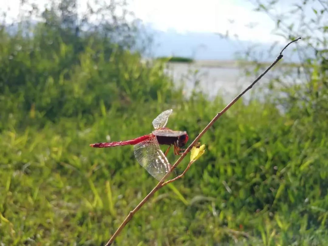 【为孩子写一首诗（124）】坐在海边