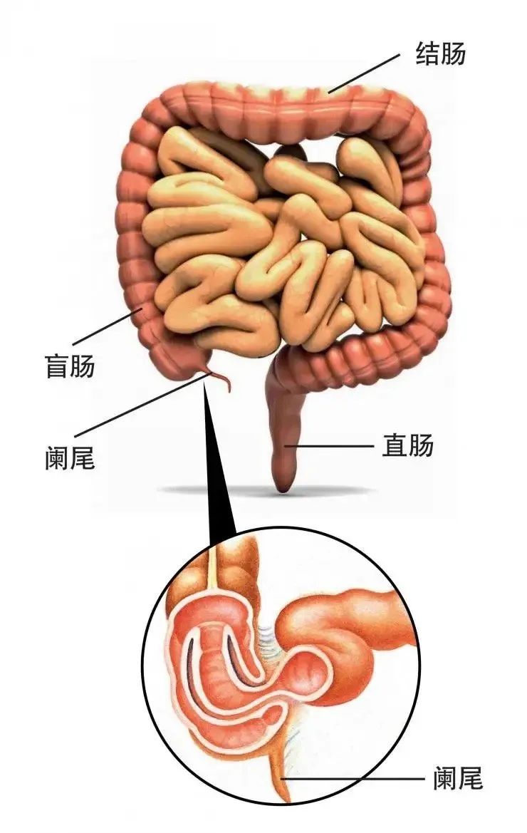 我很快乐，因为我学会了赞美和感恩。