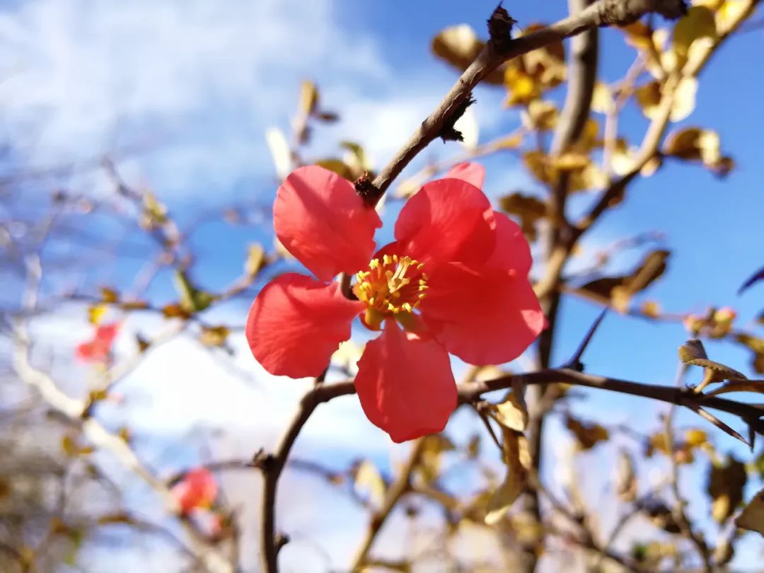 【天学节气诗】雨水时节天渐暖，绿萌塞北花江南。