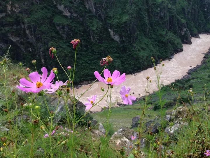 【帐棚大理】之游历篇——洱海鹭飞百里水，苍山云带十九峰！