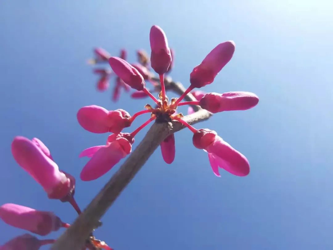 【为孩子写一首诗（136）】见证人