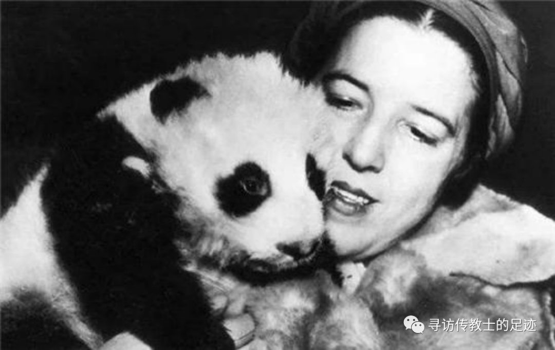 大熊猫|第一次出国的历史真相