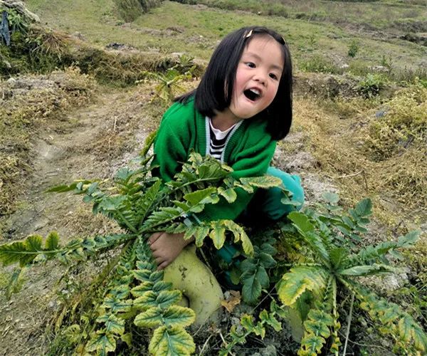 一次邂逅，就此停留——我们住在双溪的理由