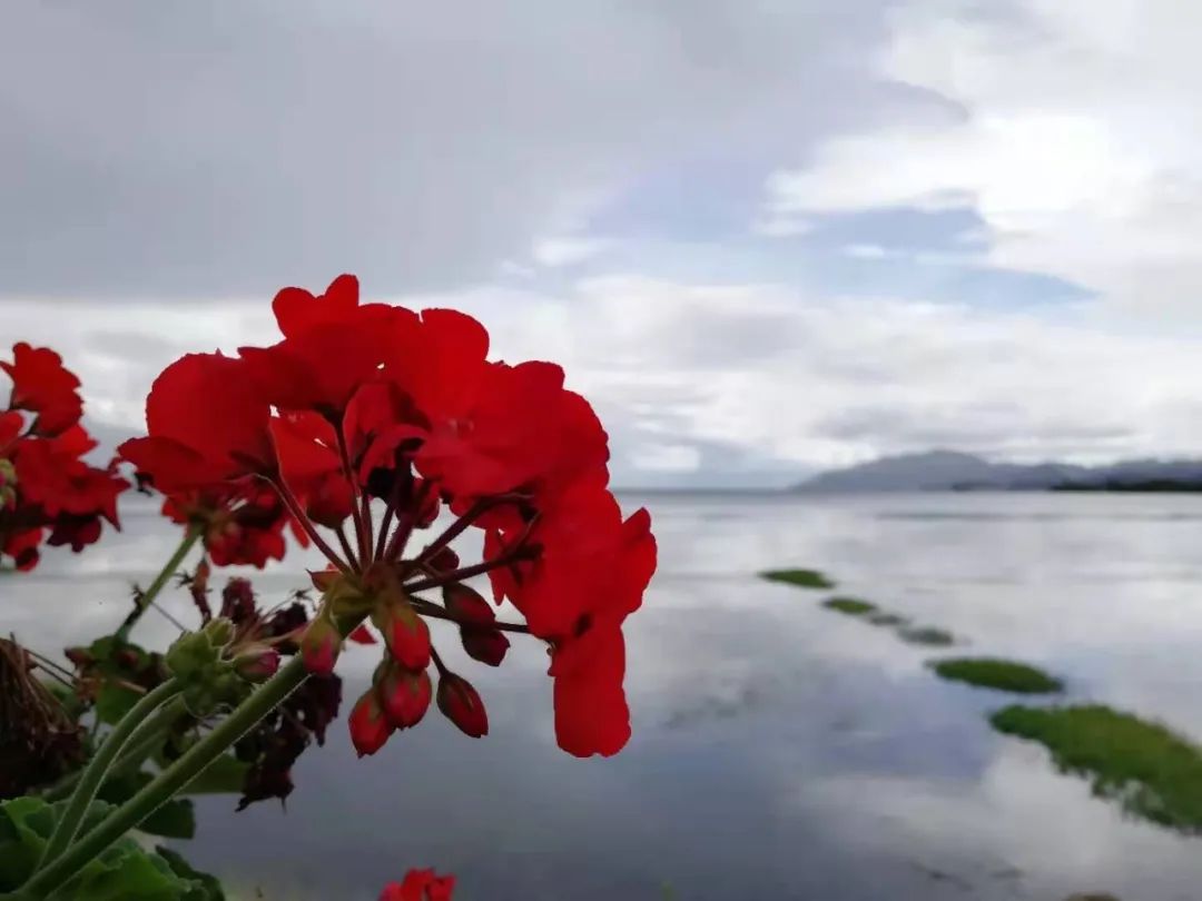 【云山映水集】云气笼峰雨意濛，沿河持伞花旁行。