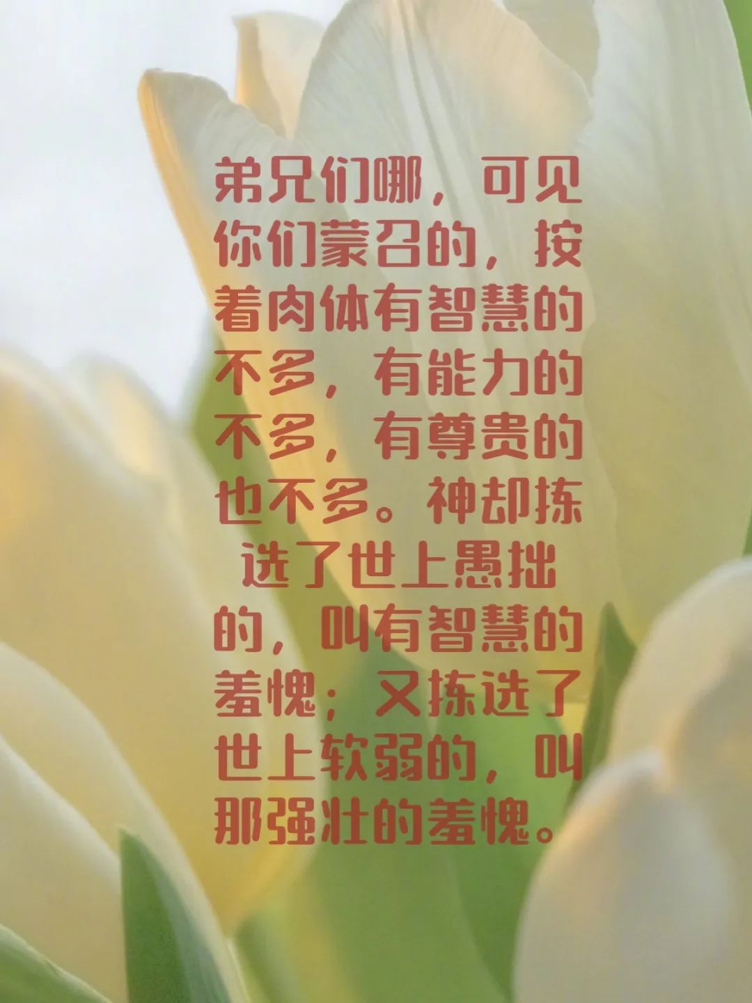 哈晖:“儿童节”谈我“傻而单纯”的故事