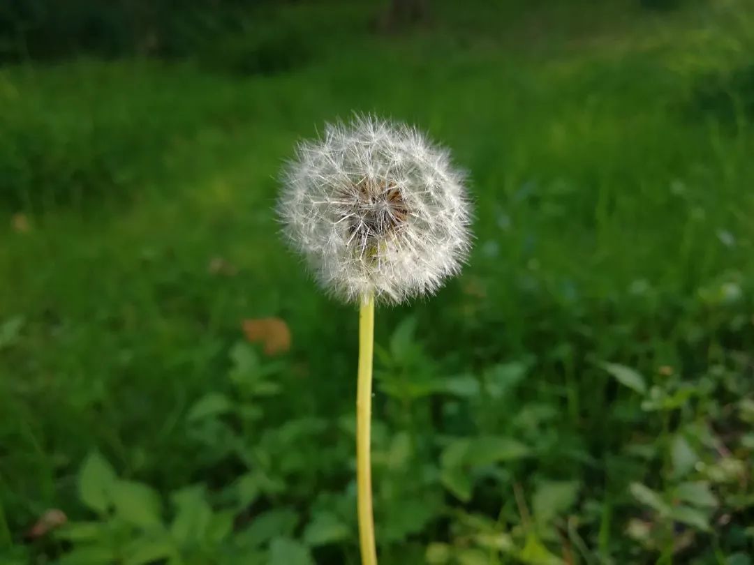 【天学节气诗】一年又近秋中分，如画江山寄旅人。