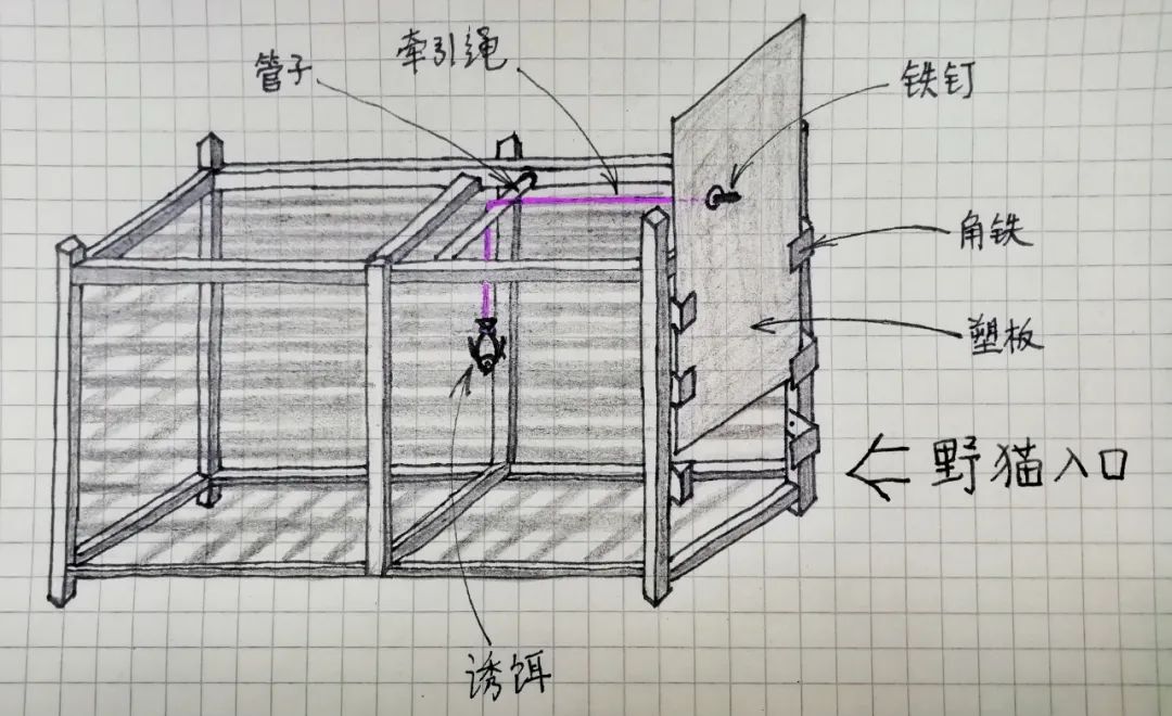 为猫咪复仇——A计划