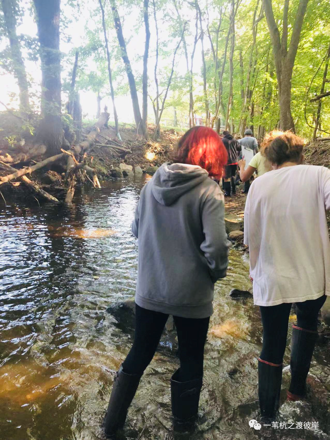 朵拉美国历险记 （18） |  高中环境科学AP课，我们趟进溪里检测水质