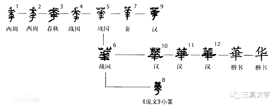 起初，华夏也像神所言——“是好的”！