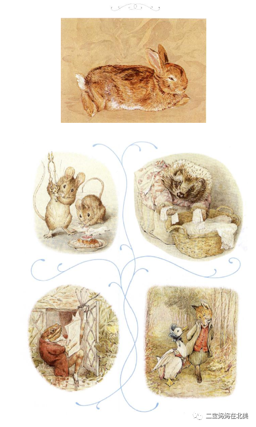 百年经久不衰的英文绘本—— 为你朗读《The Tale of Peter Rabbit》