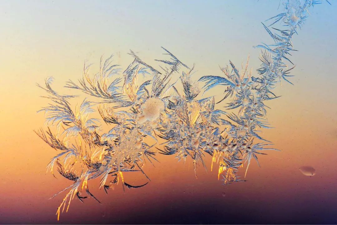 【天学节气诗】大雪时节河水冻，三星猎户挂冬空。