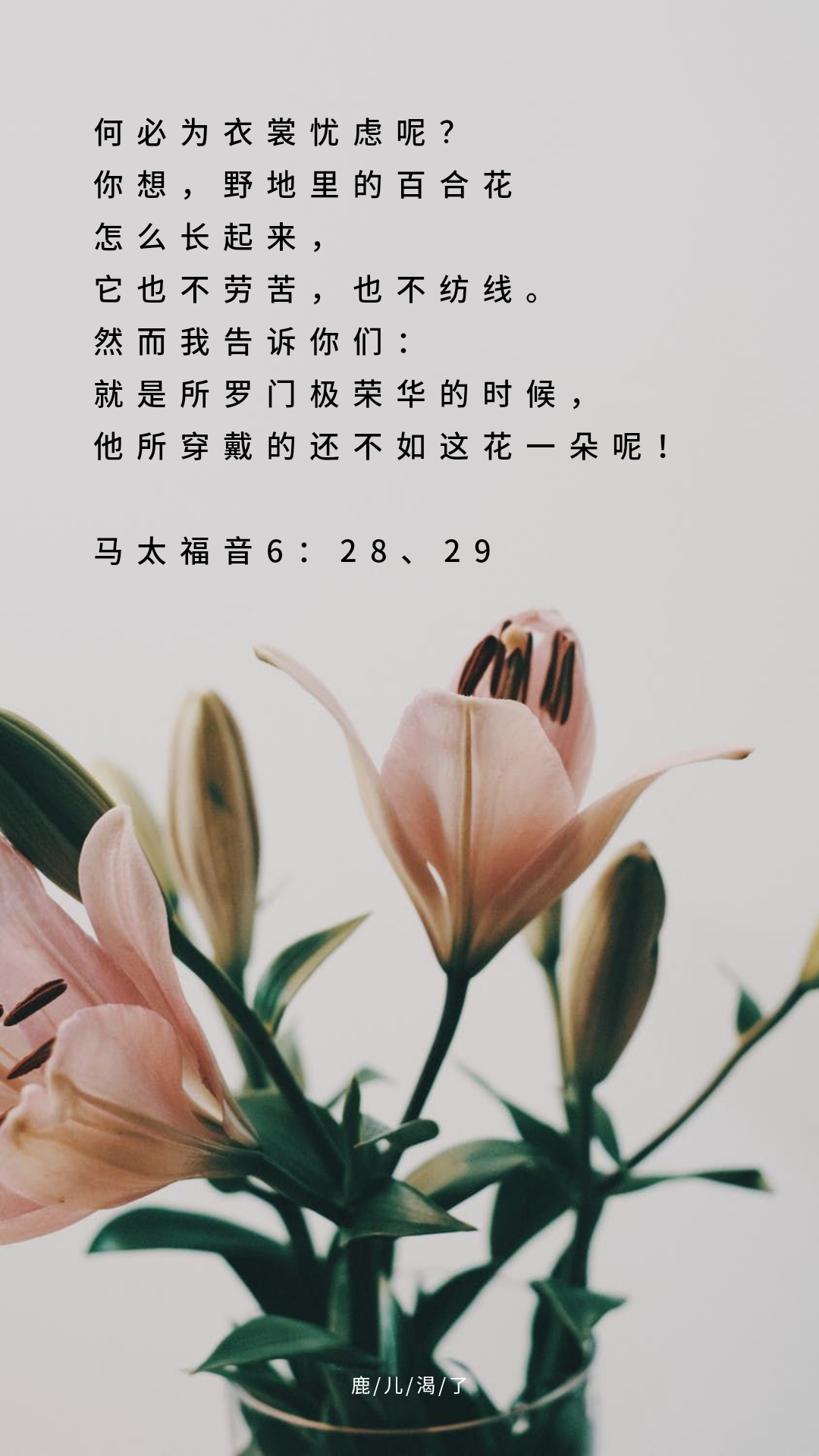 喻道童话［忧虑的百合］：不要为明天忧虑，要单单信靠上帝。