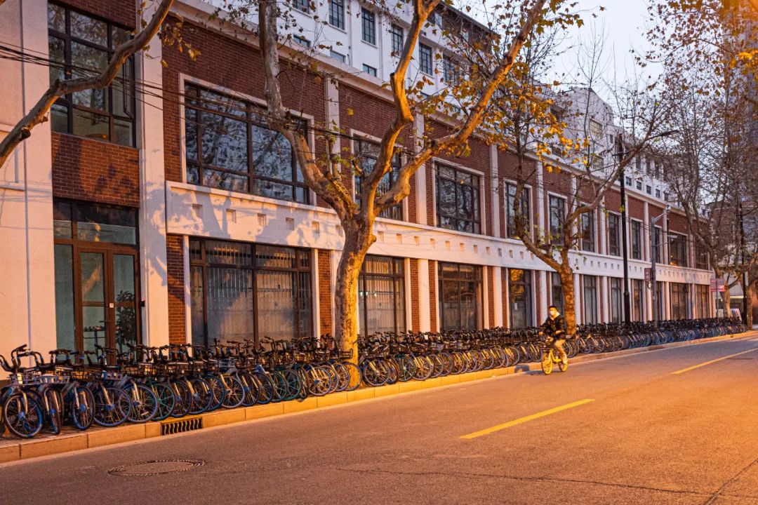 杨太太的影集 | 新年第一天的上海街头