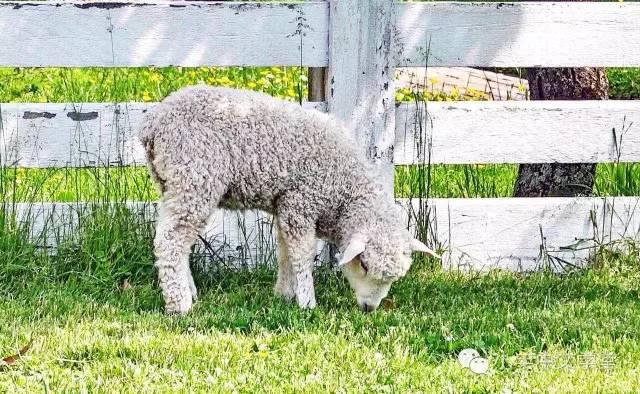 寻访古道：在历史中寻求生命的教训