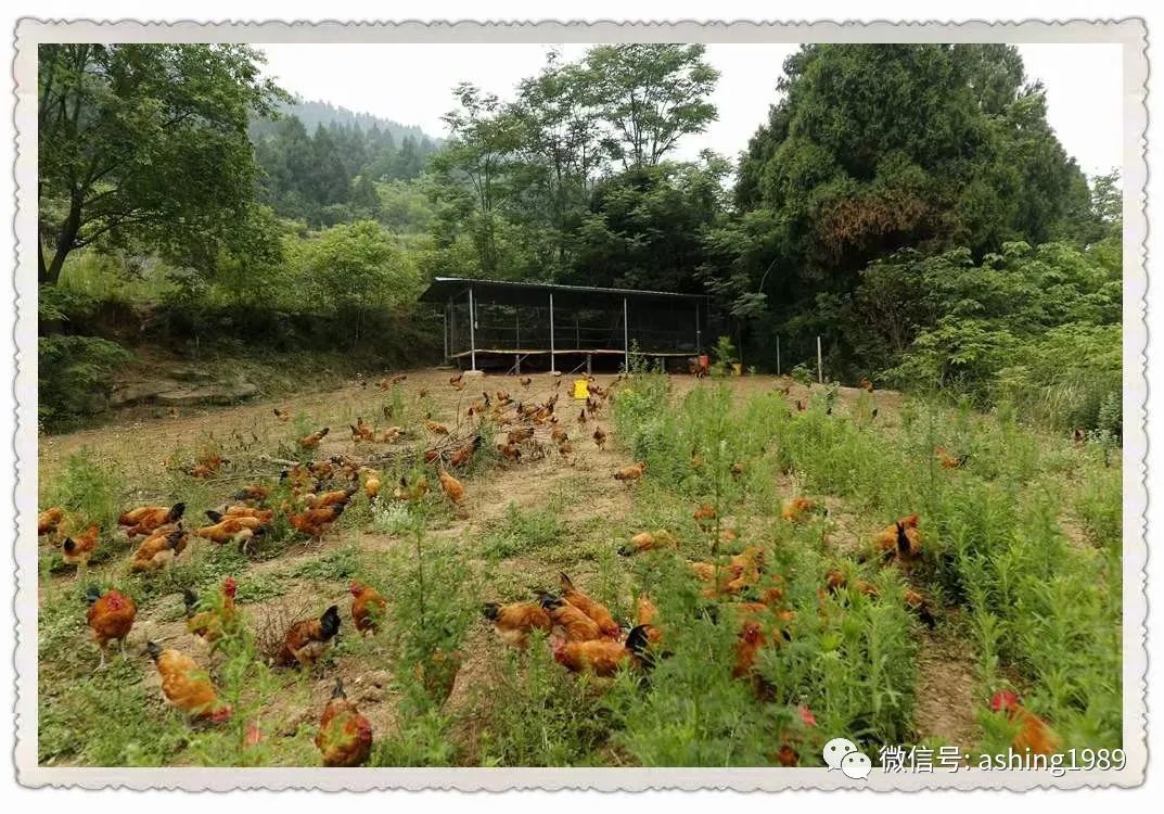 苏格兰苏石兰先生创建汇丰银行