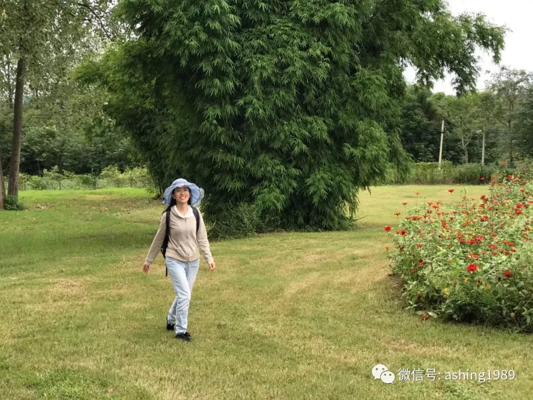 阿信：《山雨·富能仁传》共读预告