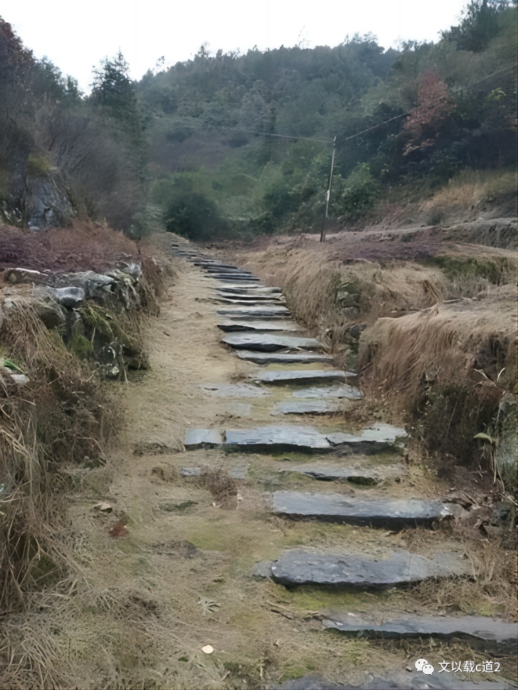 古典教育和阅读建议