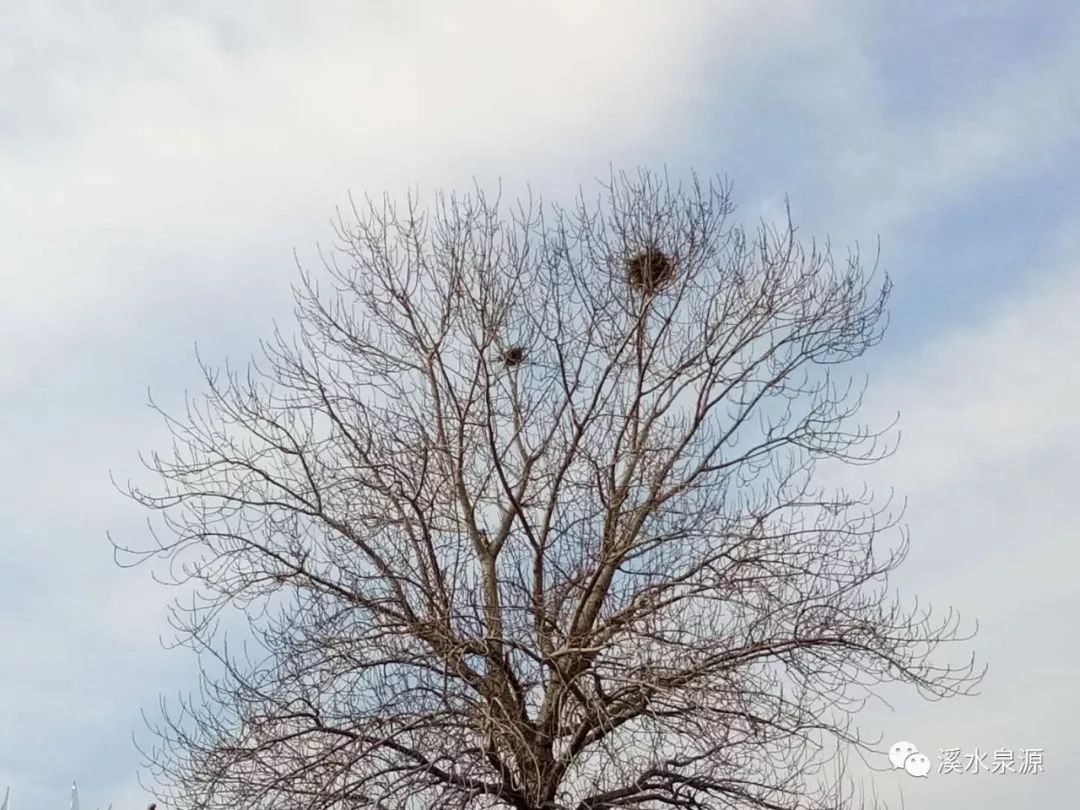 梦中的天空：医院里的温情