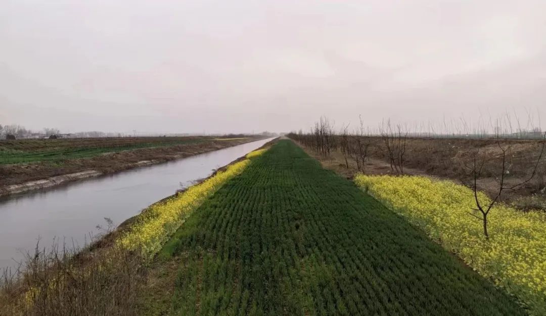 谈在清明节能做什么，不能做什么