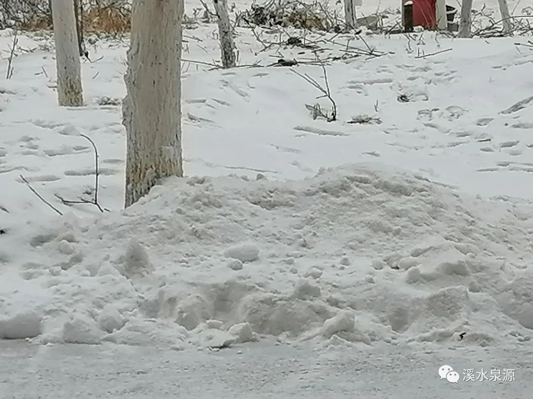 2022，北京宋庄的第一场雪